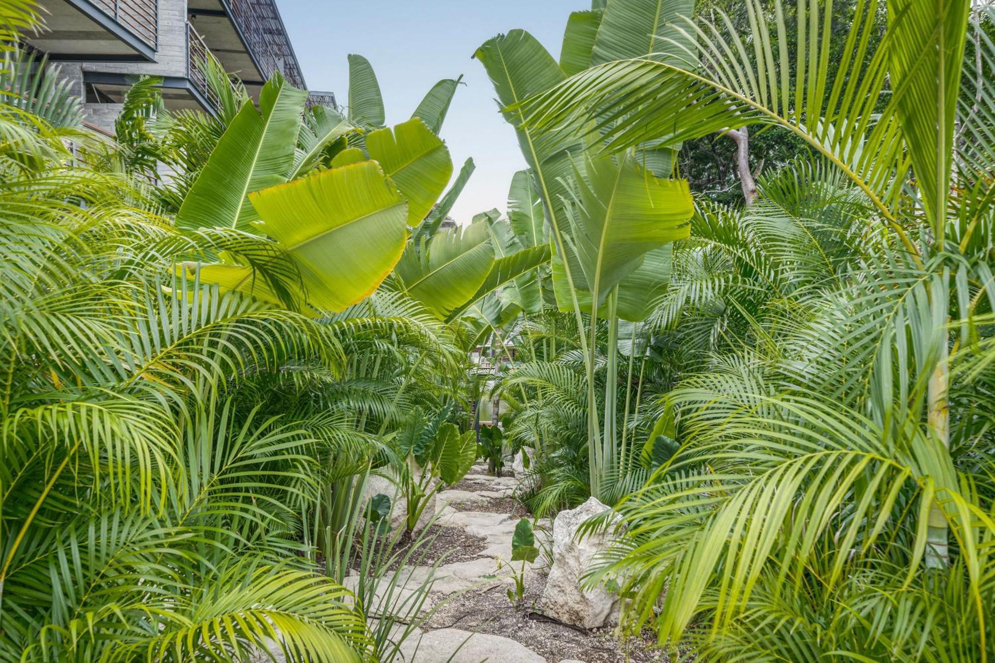 Waterworld Tulum 2Br W Cenote -Lagoons - Big Gym Extérieur photo